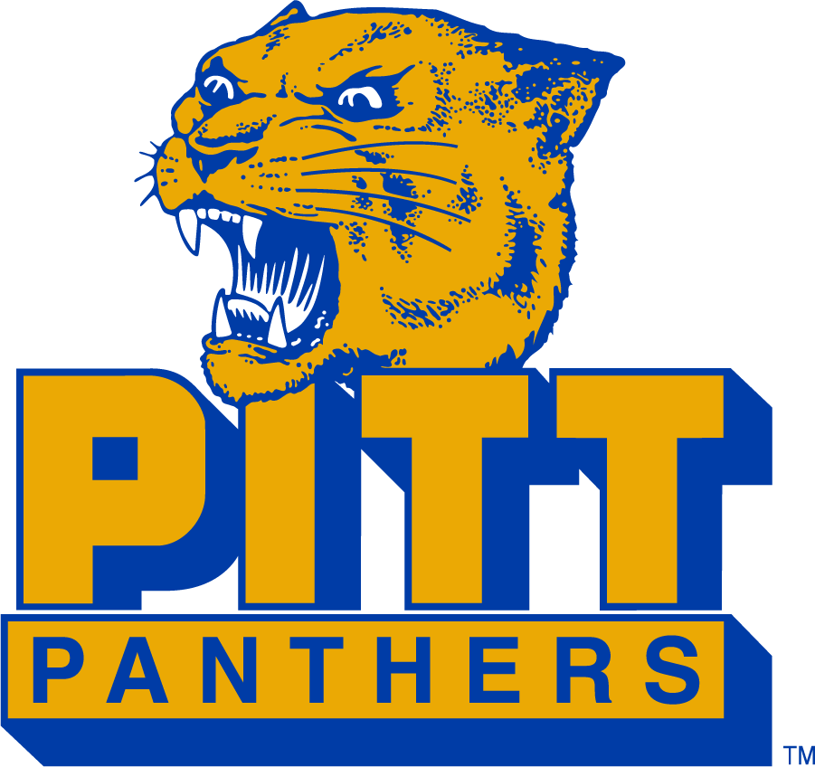 Pittsburgh Panthers 1977-1987 Alternate Logo v2 diy DTF decal sticker